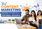 Best Content Marketing Company in Panchkula for Small Business Branding