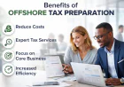 The IRS, Foreign Accounts, and You- A No-Nonsense Guide to Offshore Tax Preparation : 