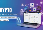 What Is a Crypto Payment Gateway? How It Works and Why Businesses Need It in 2026
