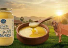 A2 Desi Cow Ghee Benefits for Digestion and Immunity