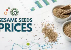 Sesame Seeds Prices Chart with Quarterly Price Index and Forecast Prices