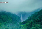 Monsoon Romance In Sakleshpur
