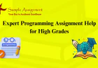 Reliable Programming Assignment Help for College & University