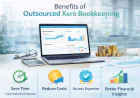 The Hidden Power of Combining Xero Bookkeeping with Offshore Tax Preparation : 