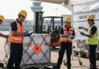 How International Air Freight Companies Handle Dangerous Goods Safely?