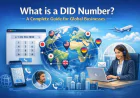 What is a DID Number? A Complete Guide for Global Businesses