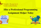 Hire a Professional Programming Assignment Helper Today