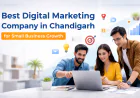 Best Digital Marketing Company in Chandigarh for Small Business Growth