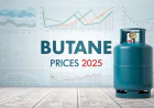 Butane Prices Index Analysis with Quarterly Trend and Forecast Prices Chart