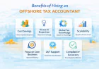 Hire Offshore Tax Accountant- Save Up to 70% Without Sacrificing Quality: 
