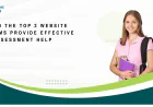 How Do the Top 3 Website Platforms Provide Effective Assessment Help?