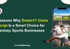 5 Reasons Why Dream11 Clone Script Is a Smart Choice for Fantasy Sports Businesses