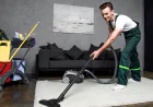 Steam Carpet Cleaning Services Expert Guide Hire Now