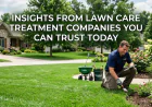 Insights from Lawn Care Treatment Companies You Can Trust Today