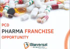Why PCD Pharma Franchise is a Profitable Business Opportunity in India