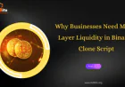 Why Businesses Need Multi-Layer Liquidity in Binance Clone Script
