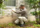 The Ultimate Guide to Termite Control San Antonio: Protecting Your Property from Silent Destroyers