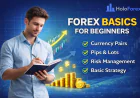 Forex Basics: A Practical Guide for Beginner Traders