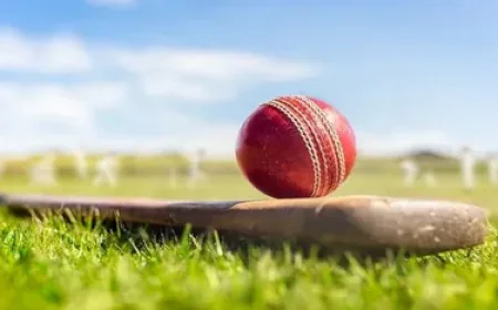 Tiger Exchange Explained: How Modern Cricket Platforms Like Tigerxplay & Tigerinsightx Improve the Experience