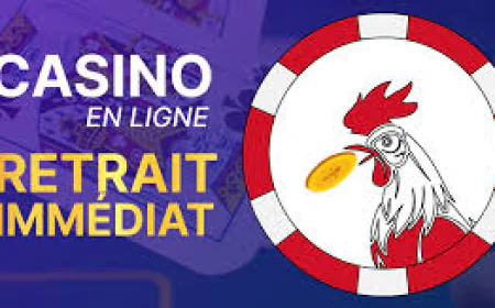Les Meilleurs Casinos en Ligne en France : Guide Complet pour Joueurs