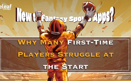 New to Fantasy Sports Apps? Why Many First-Time Players Struggle at the Start