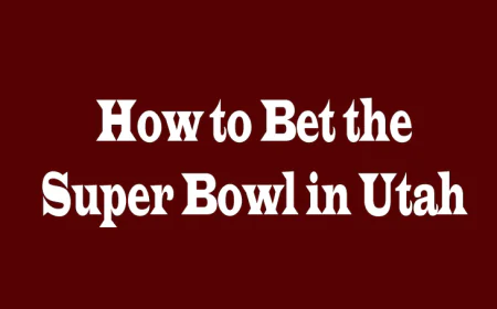 How to Bet the Super Bowl in Utah: 5 Perspectives