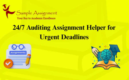 24/7 Auditing Assignment Helper for Urgent Deadlines