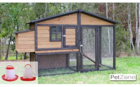 Chicken Coops Brisbane: Practical Coop Ideas for Homes