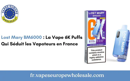Lost Mary BM6000 : La Vape 6K Puffs Qui Séduit les Vapoteurs en France