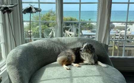 Modern Designer Bedroom Furniture – Stylish Ideas for Contemporary Bedrooms