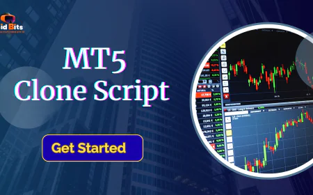 MT5 Clone Script with Secure API Integration and Liquidity Management