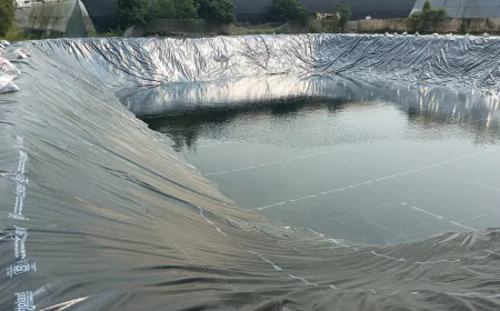 Pond Liner: The Key to a Beautiful and Durable Water Feature