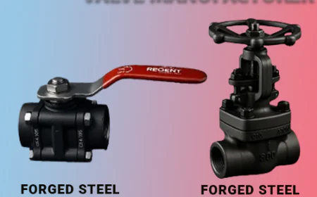 Trusted Forged Steel Valve Manufacturer for Industries