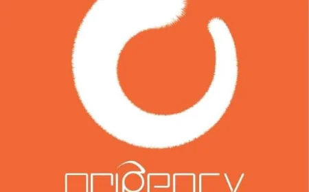 Unlock Business Growth with a Professional Marketing Agency in Pakistan