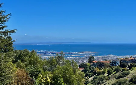 Houses for Sale in Rolling Hills CA With Privacy and Nature