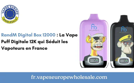 RandM Digital Box 12000 : La Vape Puff Digitale 12K qui Séduit les Vapoteurs en France