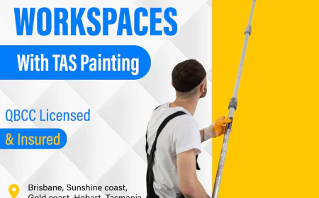 Why Hiring Professional Painters in Brisbane Matters for Your Property
