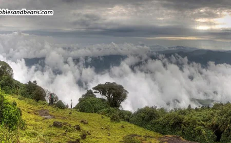 The Ultimate Sakleshpur Bucket List