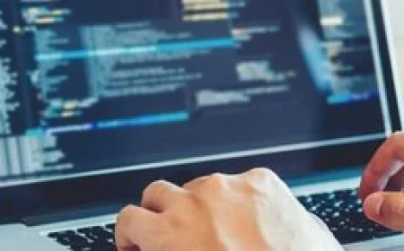 Website Development Agency vs Freelance Developer: Which Is Better for Your Business?