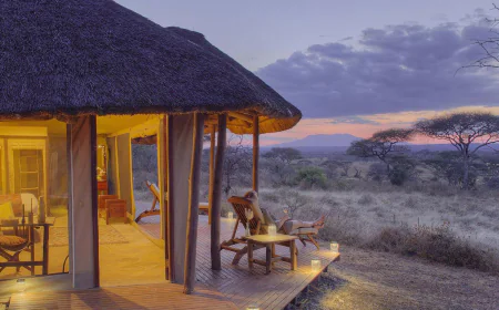 How to Experience a Botswana Exclusive Safari Like a True Explorer
