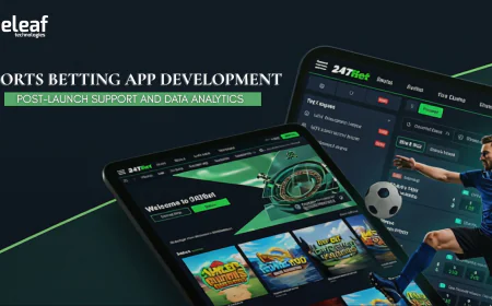 How Sports Betting Platforms Grow with Post-Launch Support and Data Analytics