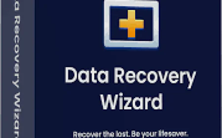 EaseUS Software: Your Solution to Data Loss