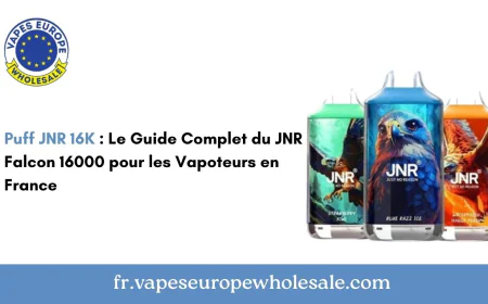 Puff JNR 16K : Le Guide Complet du JNR Falcon 16000 pour les Vapoteurs en France
