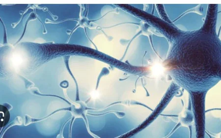 Understanding LSD: Effects, Research, and Responsible Awareness