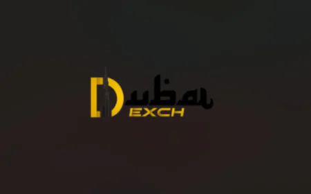 How Dubaiexchange365 Makes Online Sports Betting Easy for Beginners