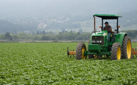 Why You Need an Agricultural CPA Tax Specialist in California