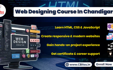 Understanding the Cost of Learning Web Design