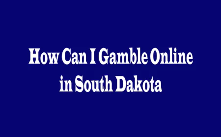 How Can I Gamble Online in South Dakota? A Complete Guide from Five Perspectives