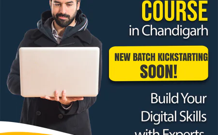 Build Your Future with Practical Digital Skills