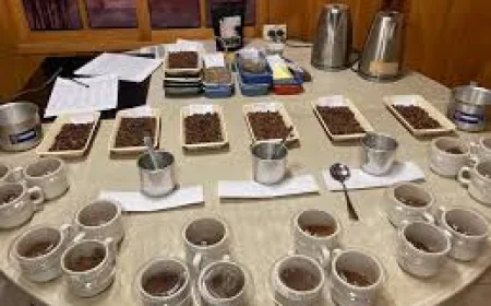 Cost-Effective Specialty Coffee in Ontario: What It Really Means for Buyers